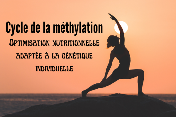 Nutrition de la méthylation