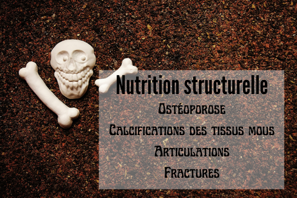 Nutrition de l'os