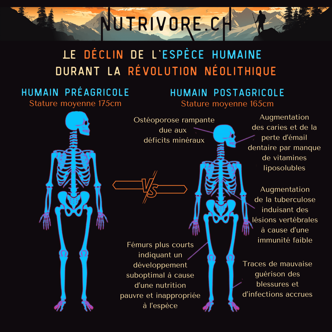 You are currently viewing La révolution néolithique et le déclin de l’espèce humaine